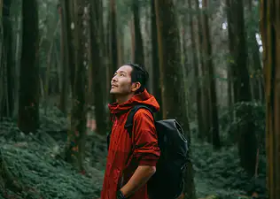 A man hiking in a dense forest, looking up at the sky.
