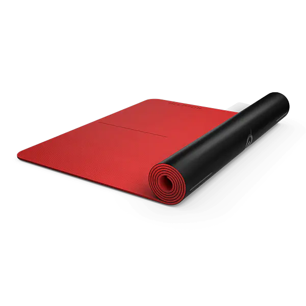 Reversible Workout Mat