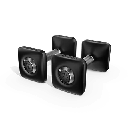 Dumbbells Image 1