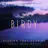 Keeping Your Head Up (Jonas Blue Remix) [Radio Edit]