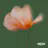Give It All EP