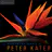 The Meditation Music of Peter Kater: Evocative, expressive instrumental music for meditation