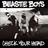 Check Your Head (Deluxe Edition/Remastered/2009)