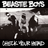 Check Your Head (Deluxe Edition/Remastered/2009)