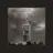 Fortnight (BLOND:ISH Remix) (feat. Post Malone)