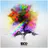 True Colors