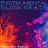 Instrumental Slow Beats: Electronic Replay