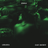 People (Remix) (feat. Cian Ducrot)