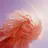 Woman (The Remixes)