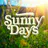 Sunny Days