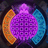 Dance Nation 2022 - Ministry of Sound