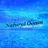 Natural Ocean White Noise