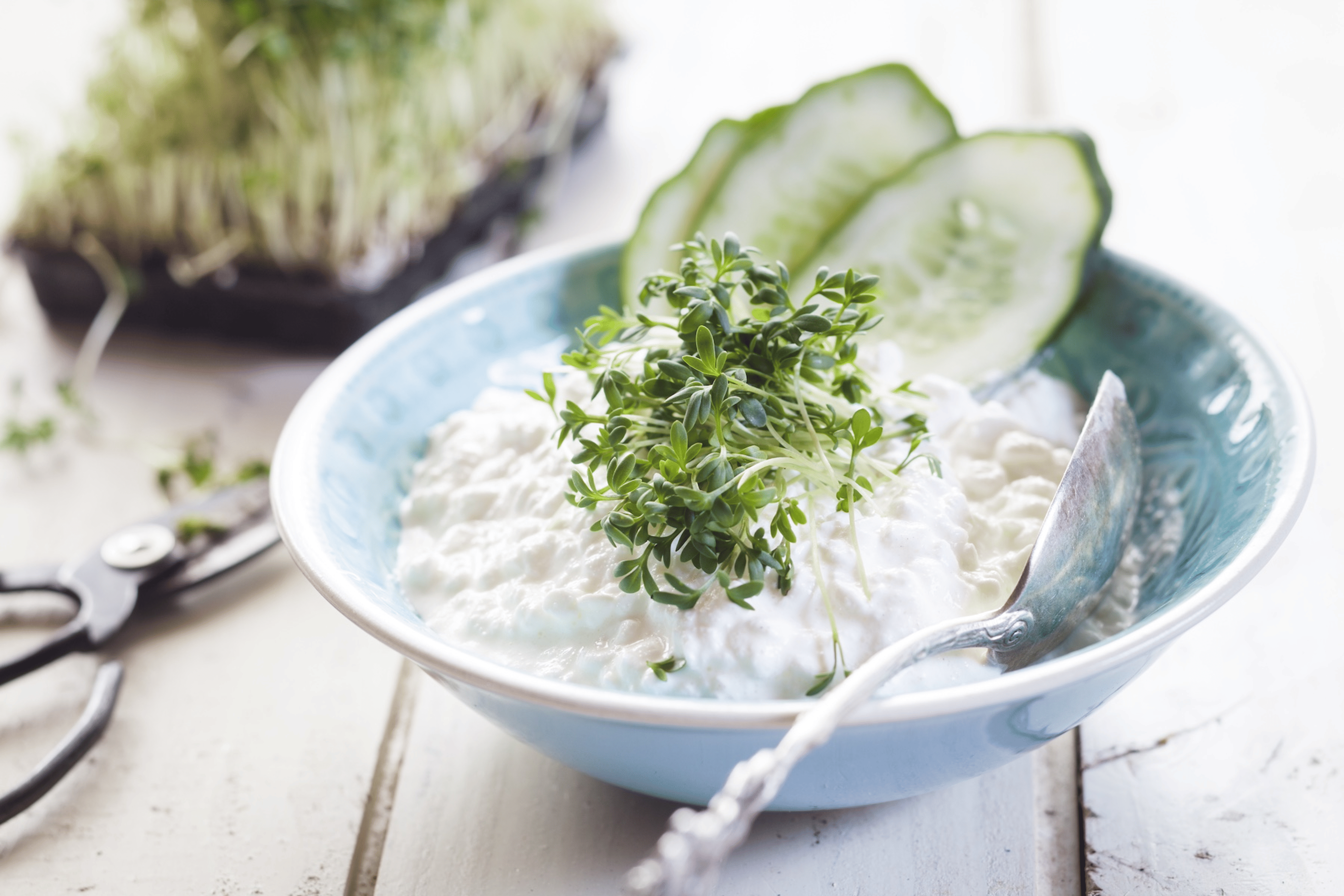A bowl of cottage cheese with greens and cucumber slices garnishing it.