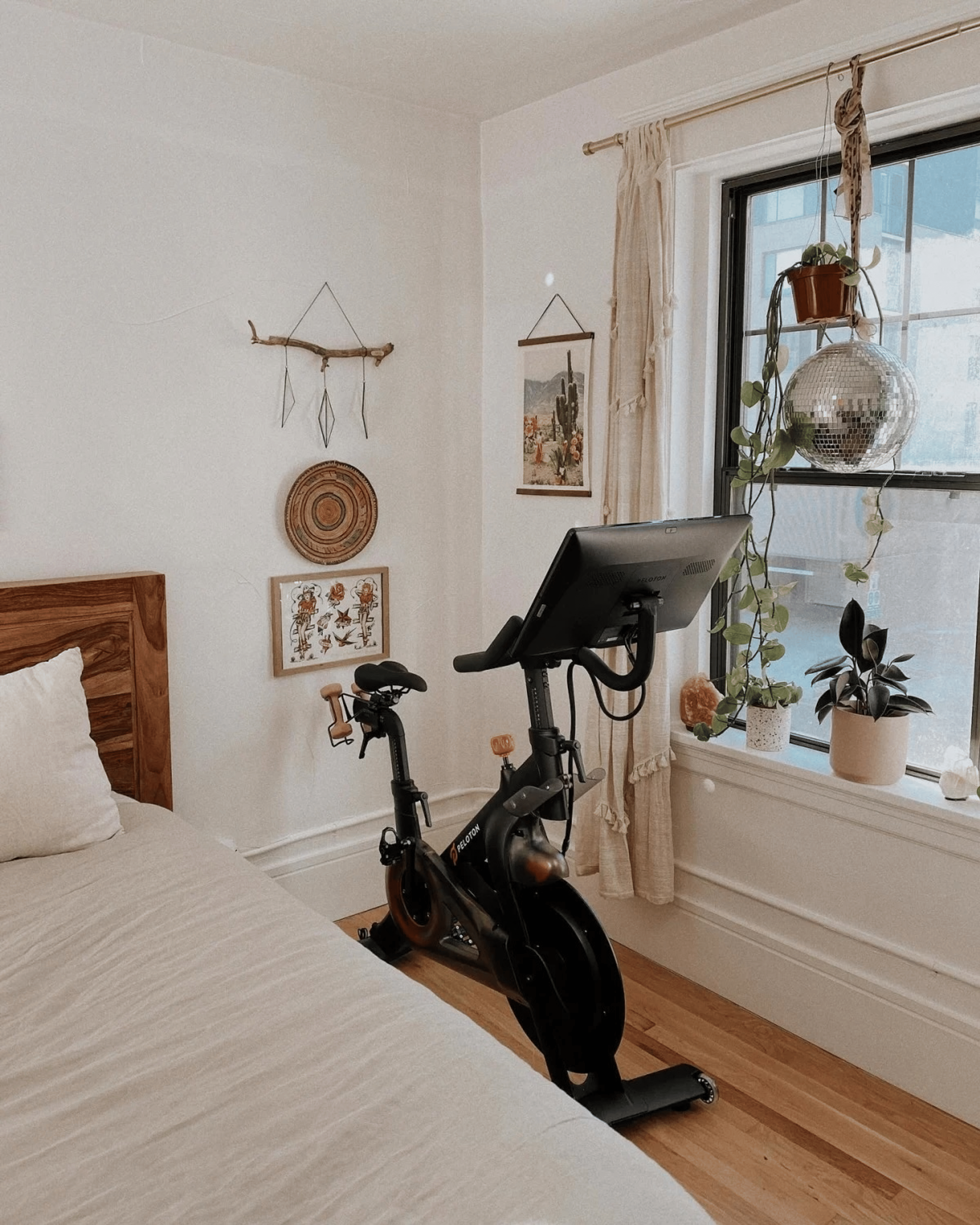 Peloton home gym