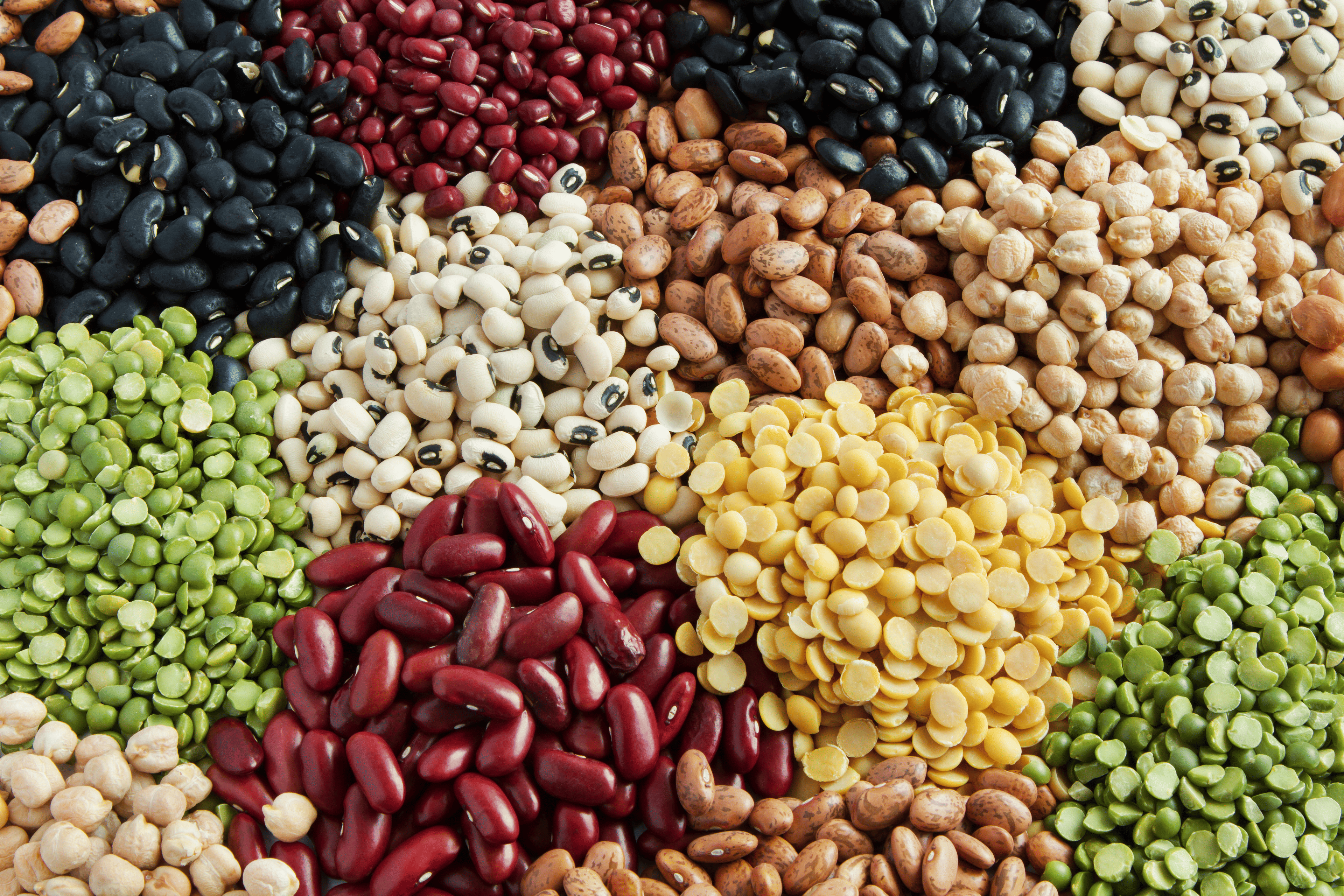 closeup shot of legumes