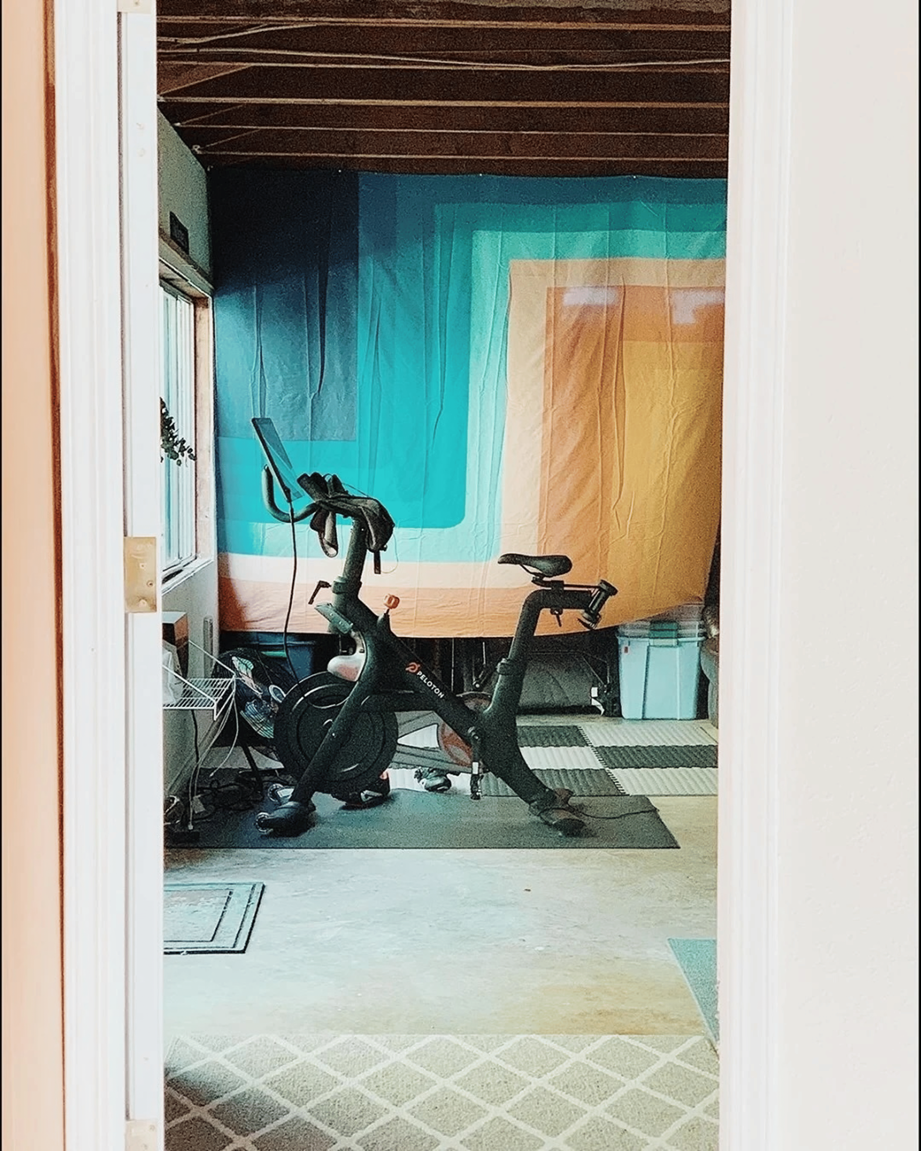 Peloton home gym