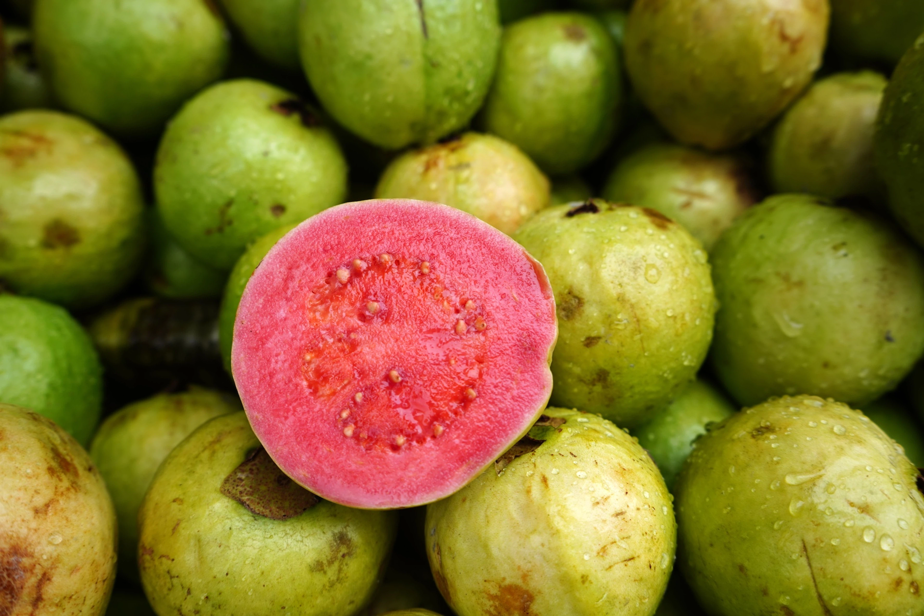 A half-cut guava fruit sitting on top of other guava fruits. Guava is a high-protein fruit.