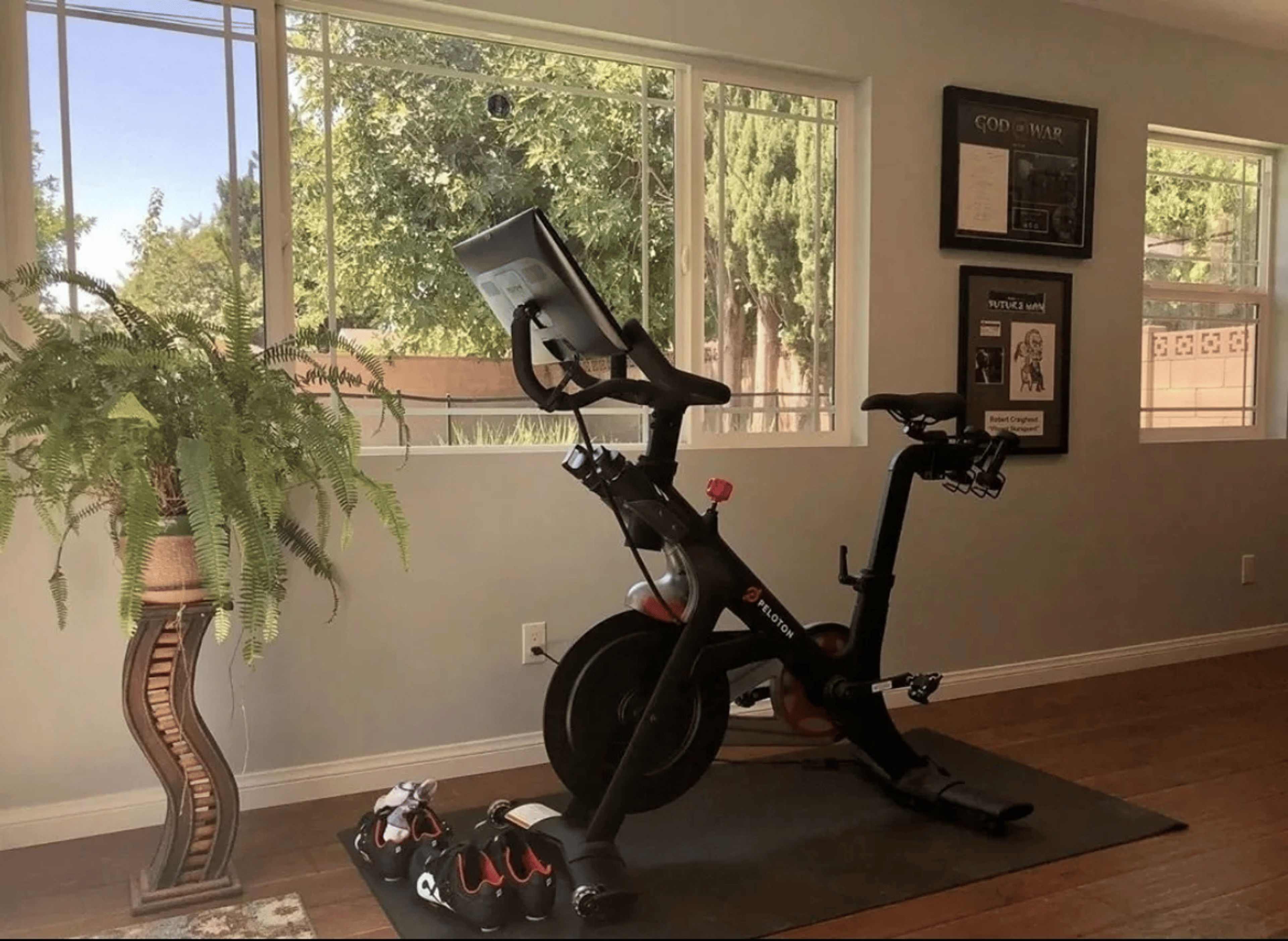 Peloton home gym