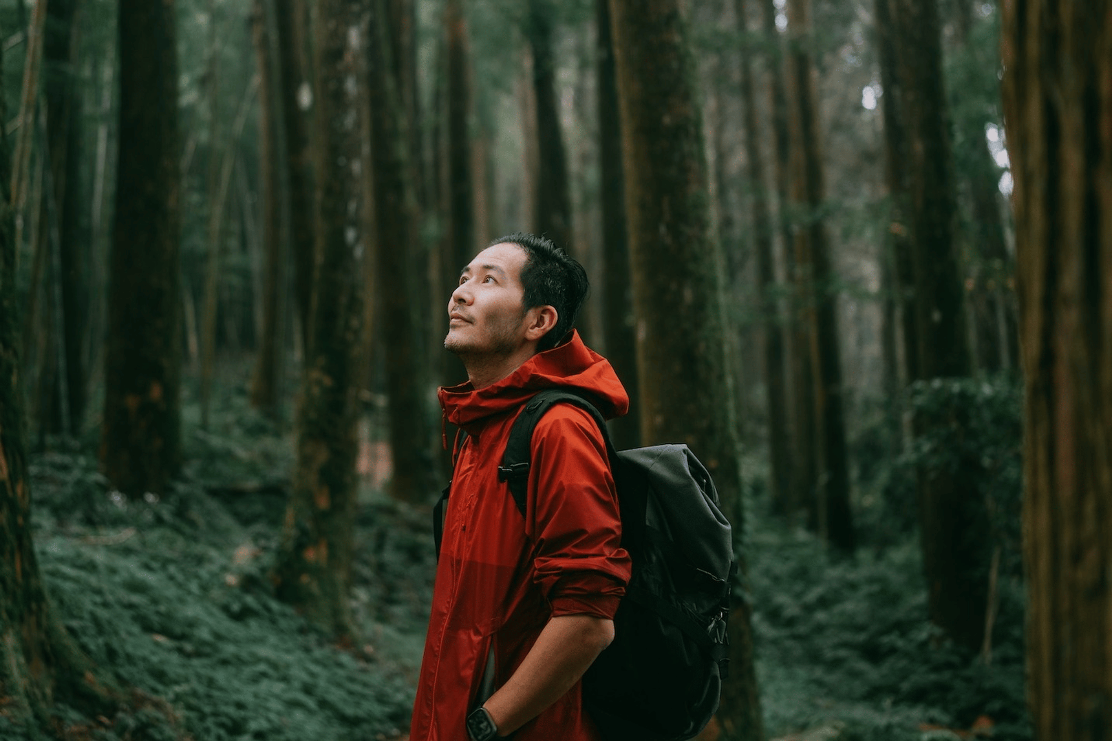 A man hiking in a dense forest, looking up at the sky.