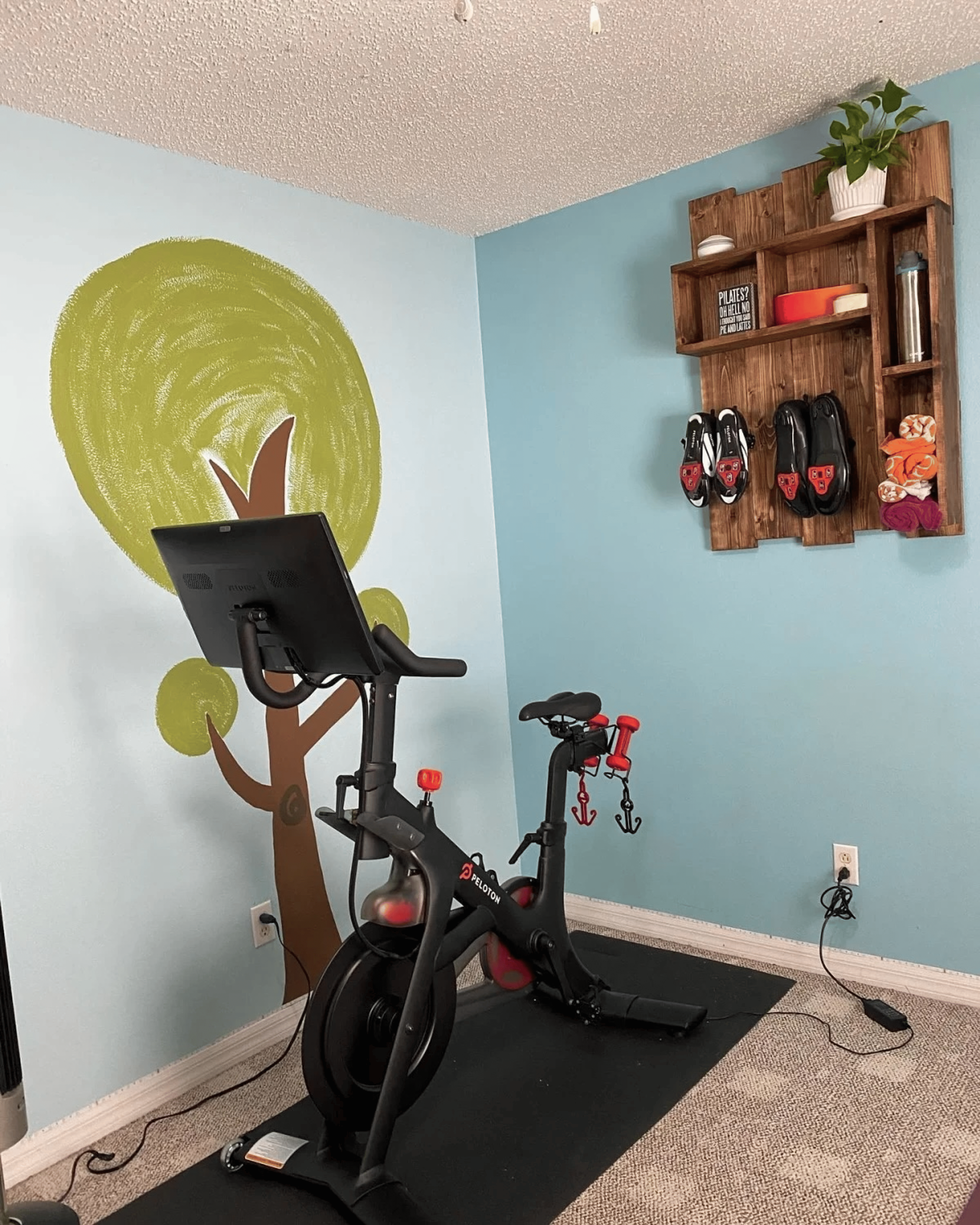 Peloton home gym
