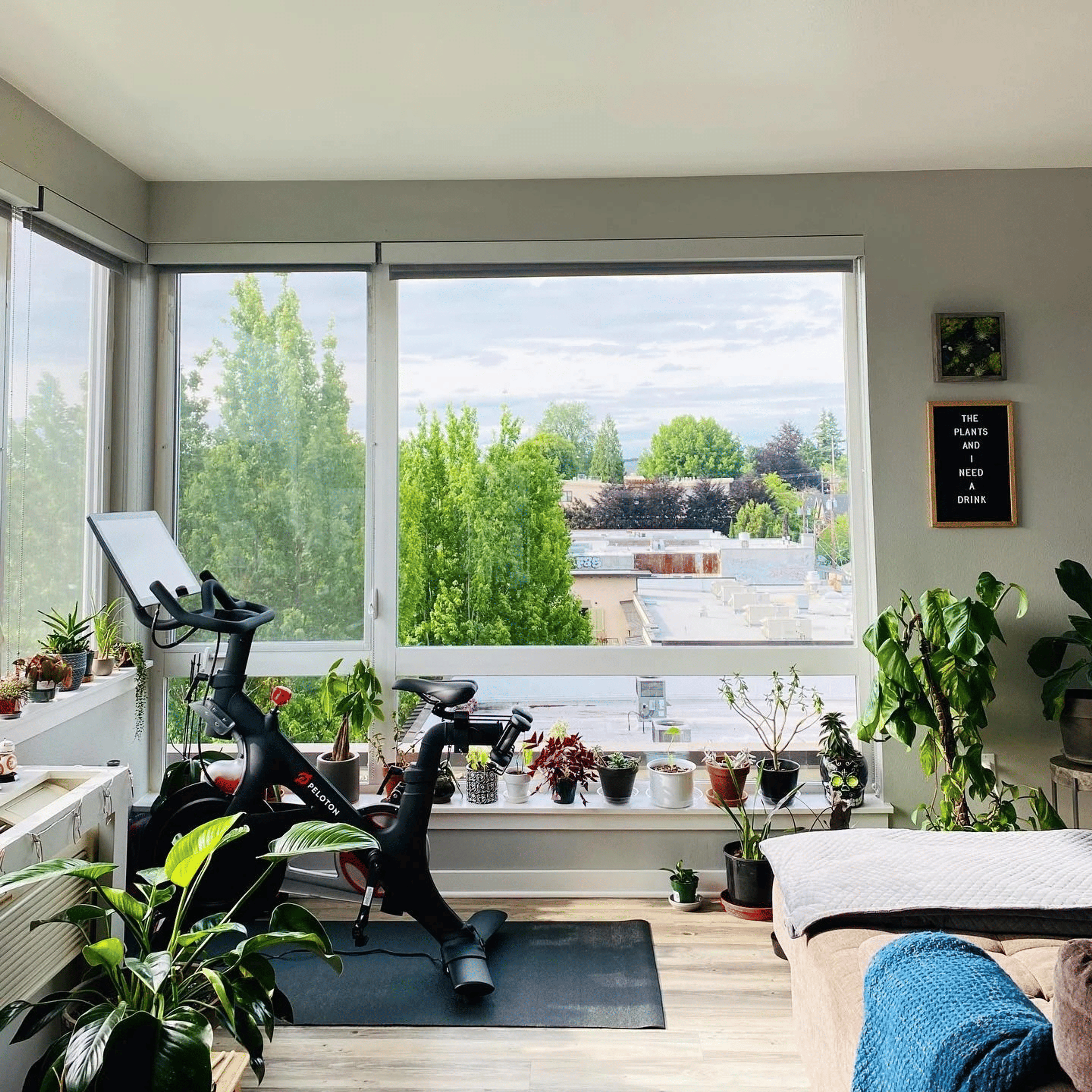 Peloton home gym