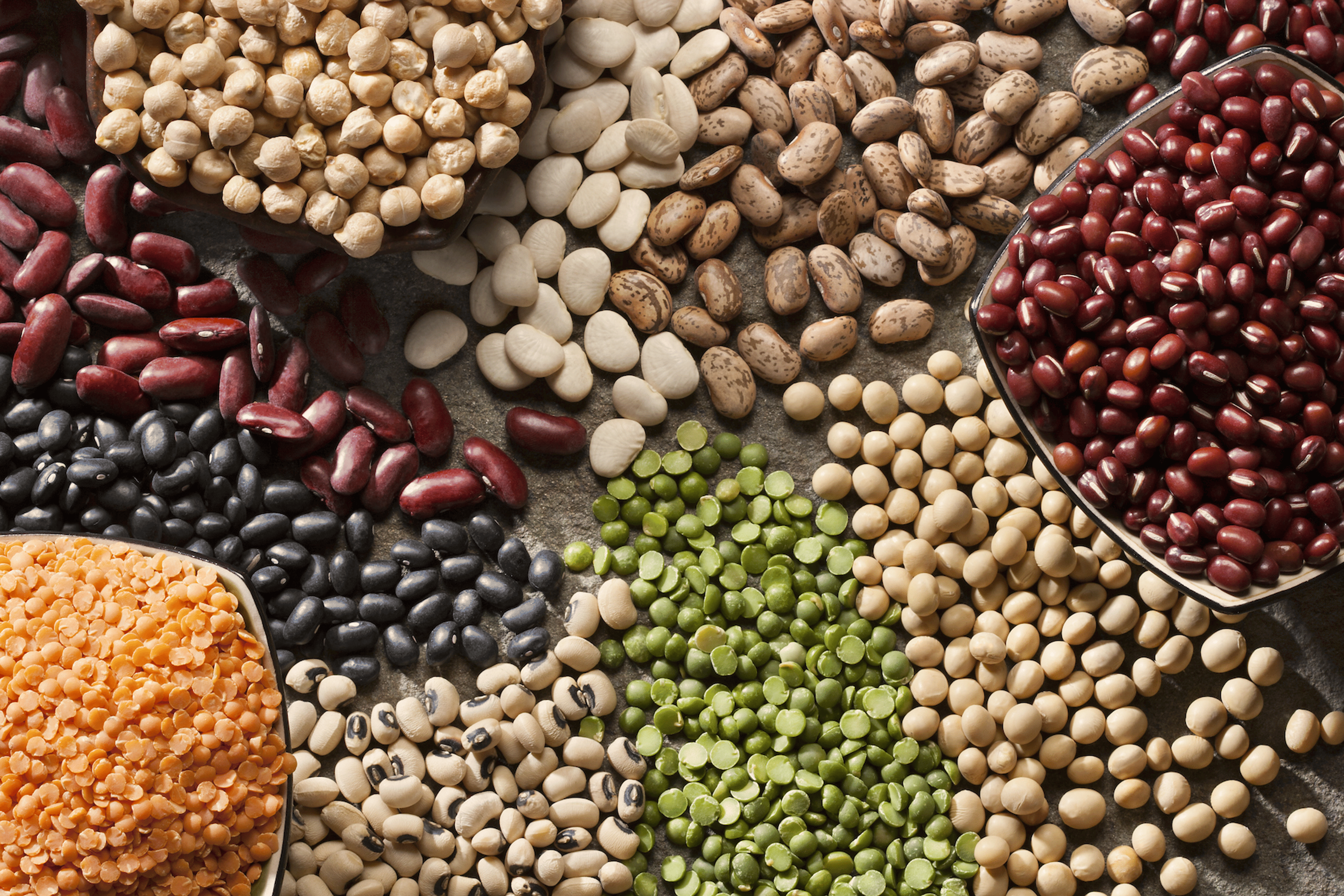 An array of legumes on a flay lay surface. Pulses are great foods for gut health.