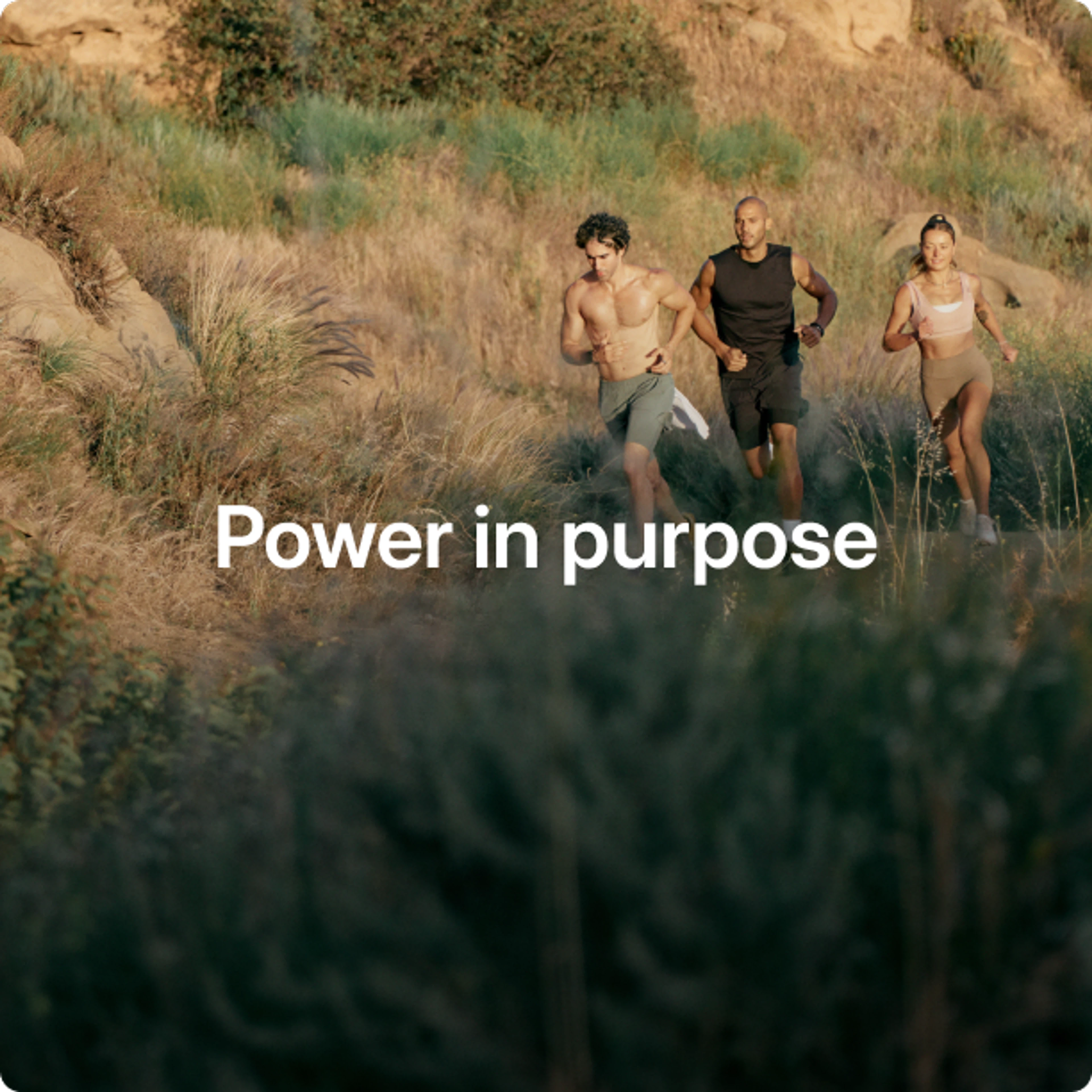 Power in purpose