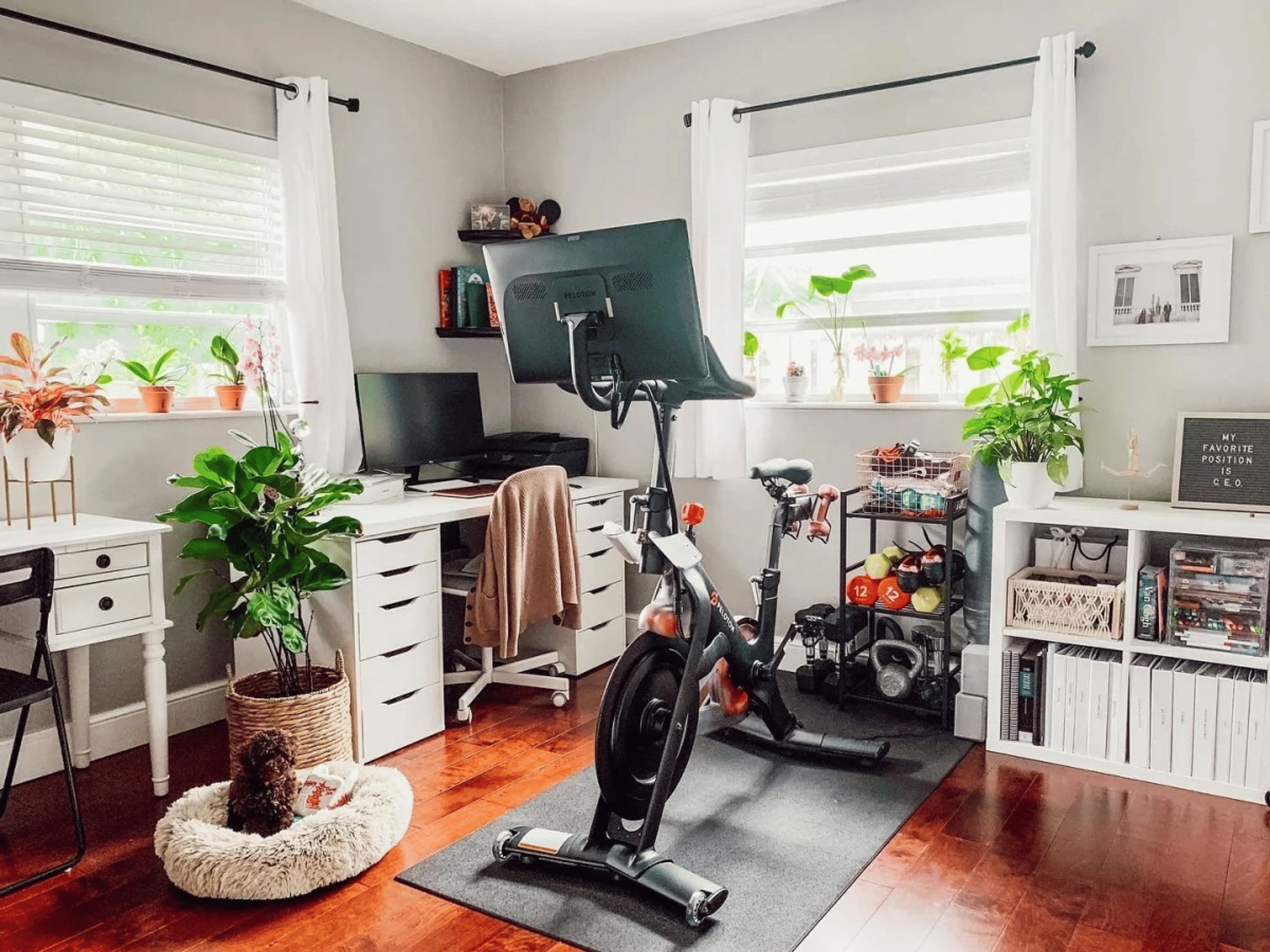 Peloton home gym