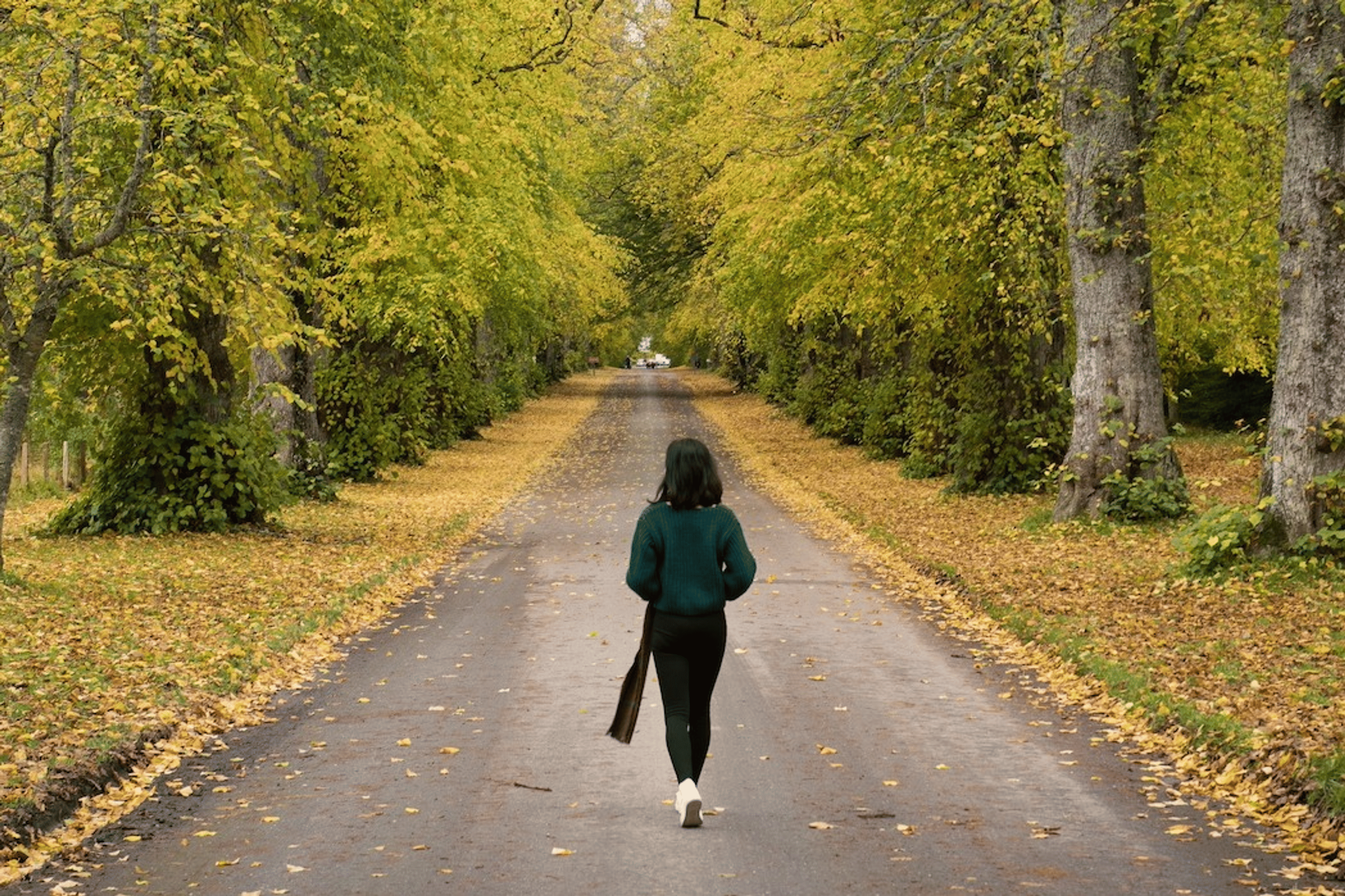 A woman walking down a road surrounded by trees in autumn. Learn the mental health benefits of walking in this article.