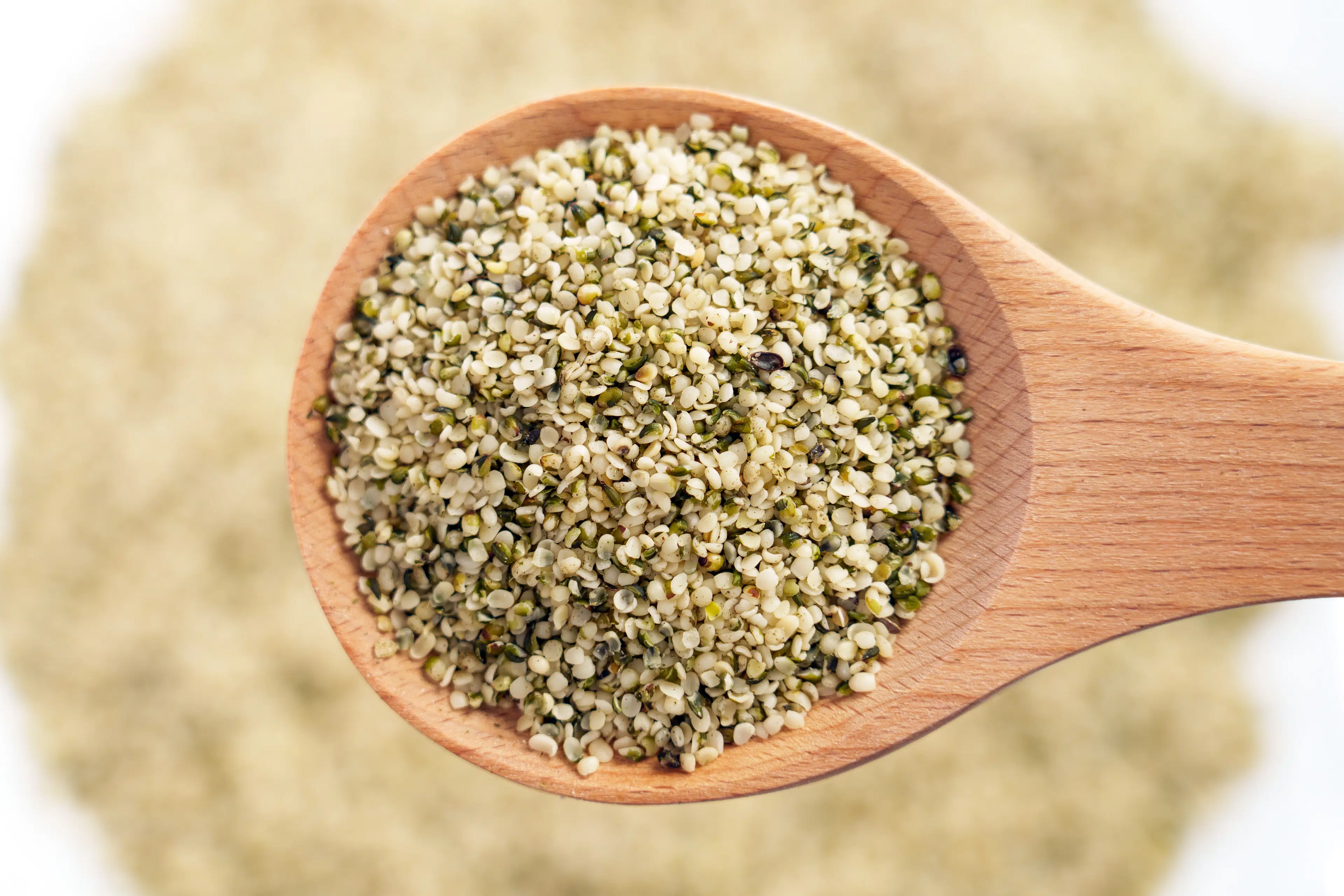 Spoon full of hemp seeds