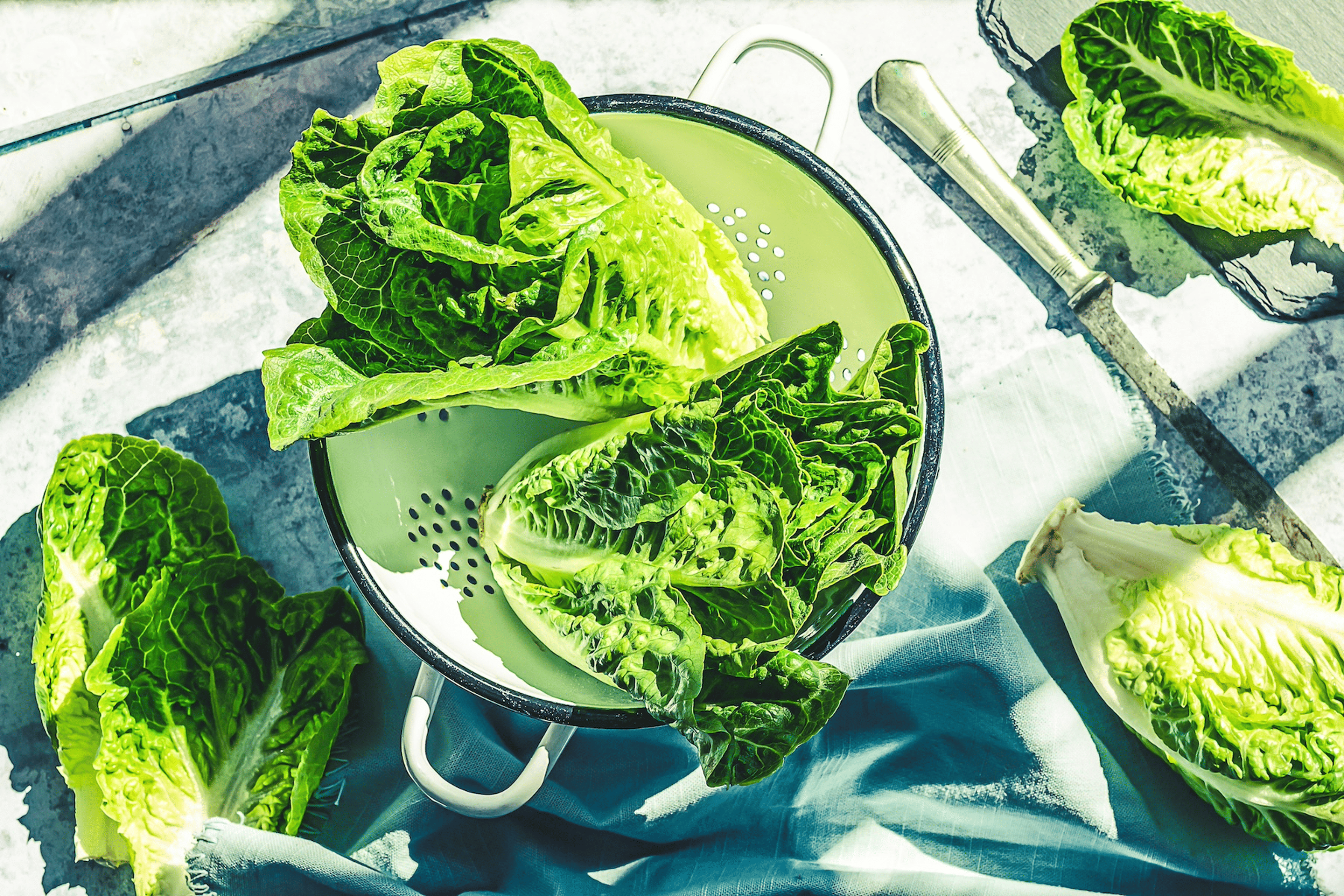 Heads of romaine, a hydrating food, in a colander and on a table. 