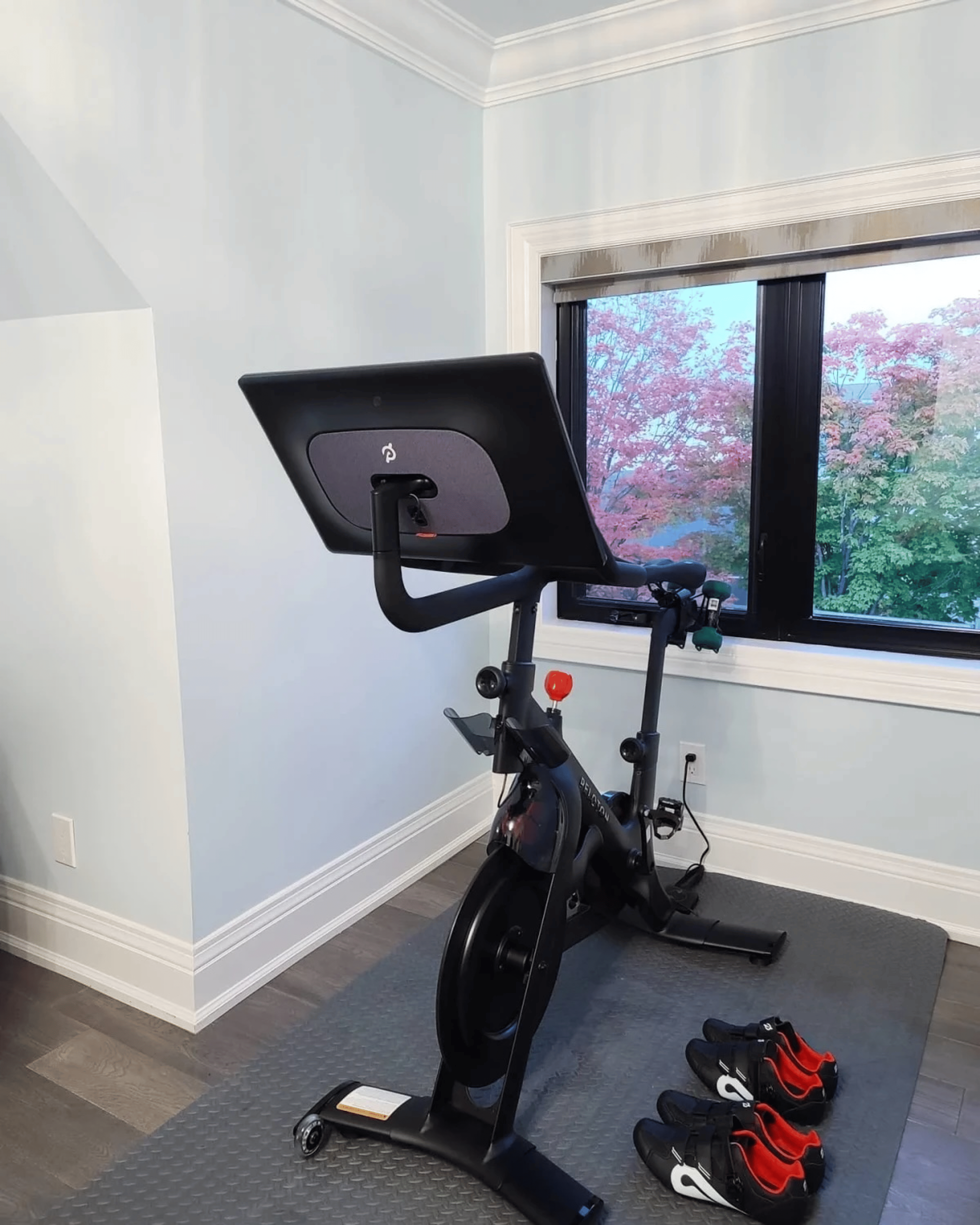 Peloton home gym