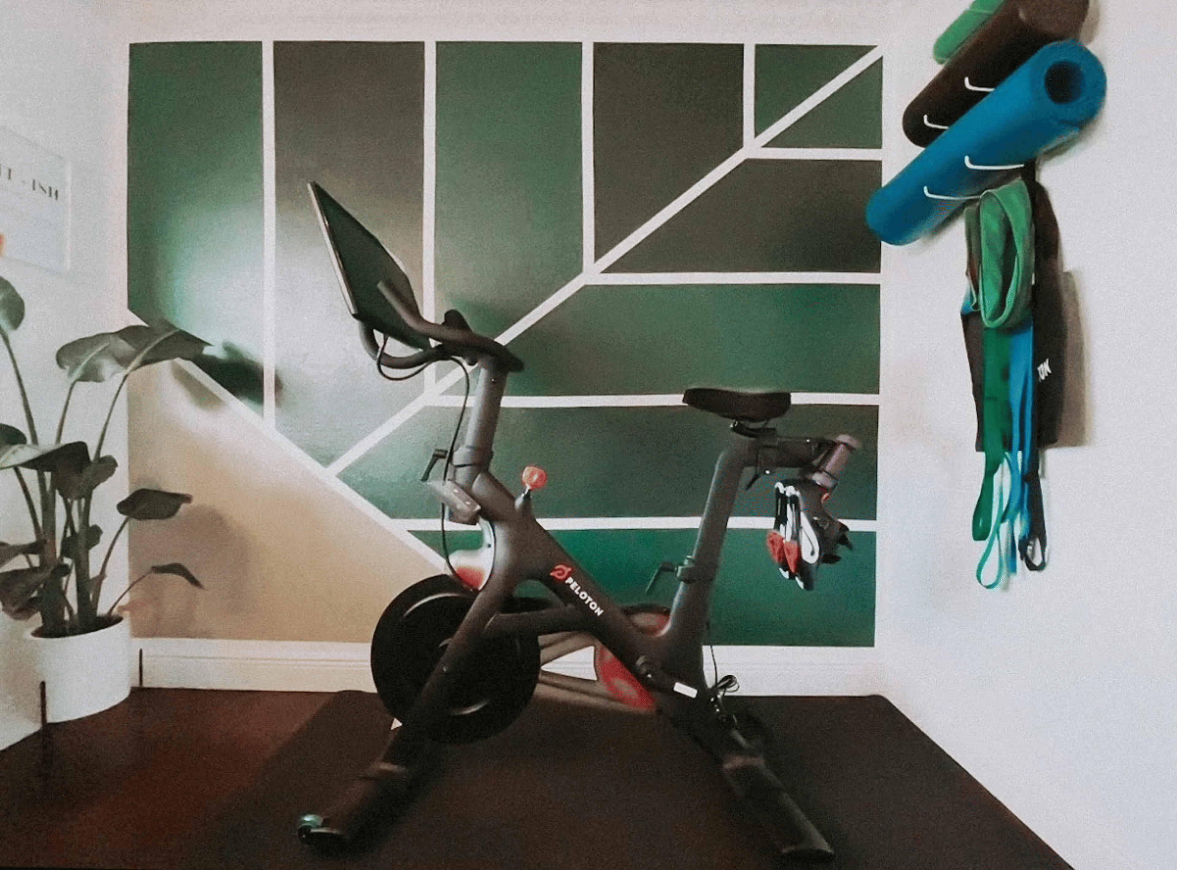 Peloton home gym