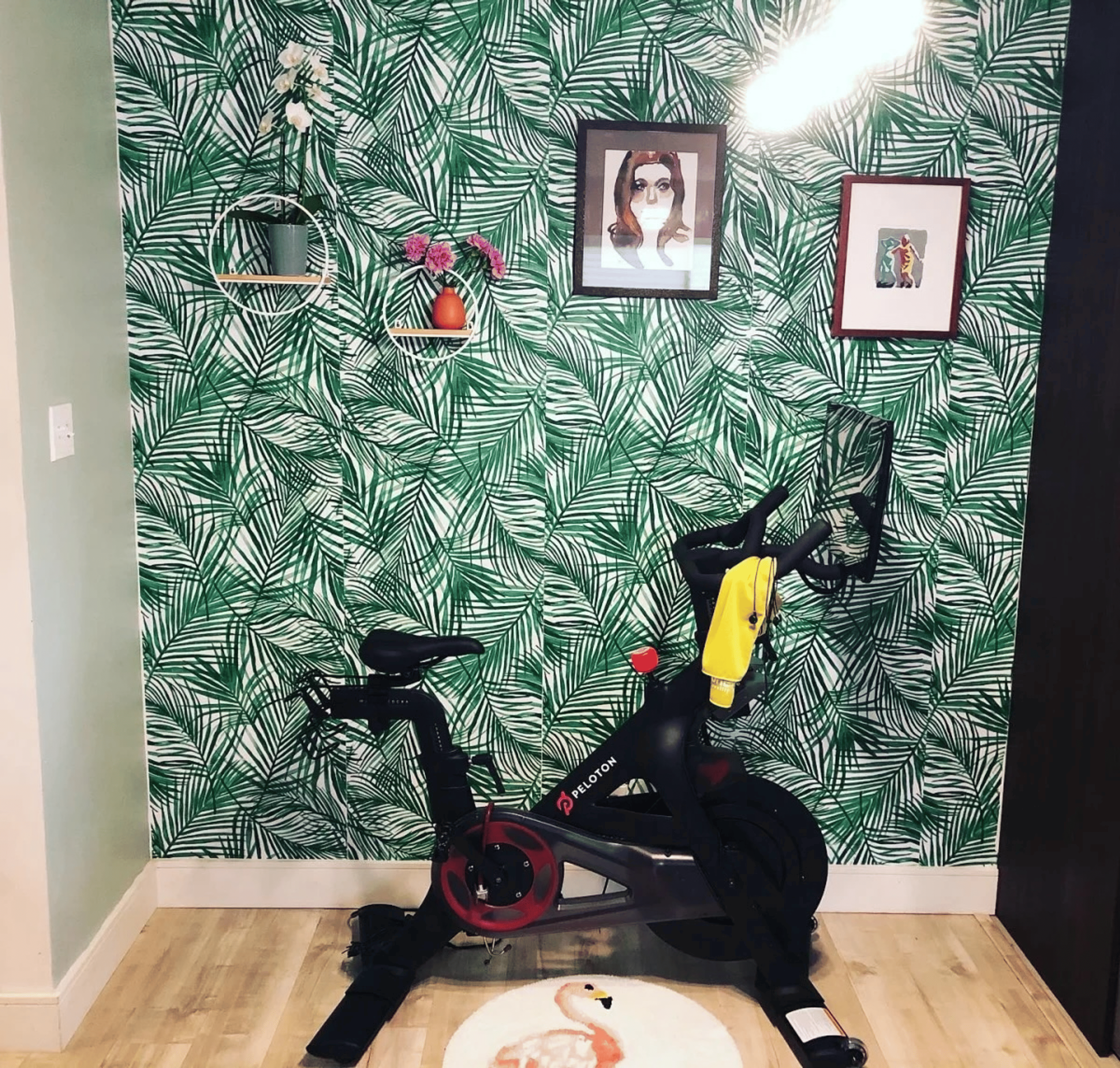 Peloton home gym