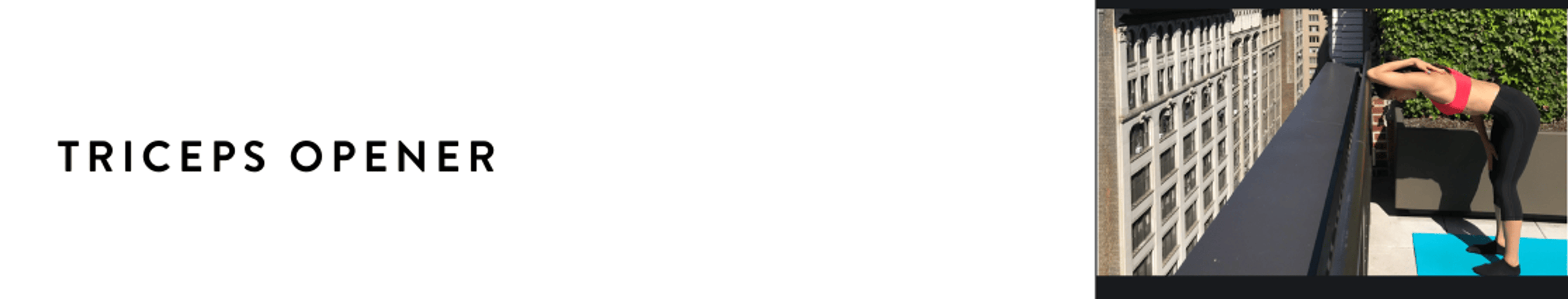 Triceps Opener