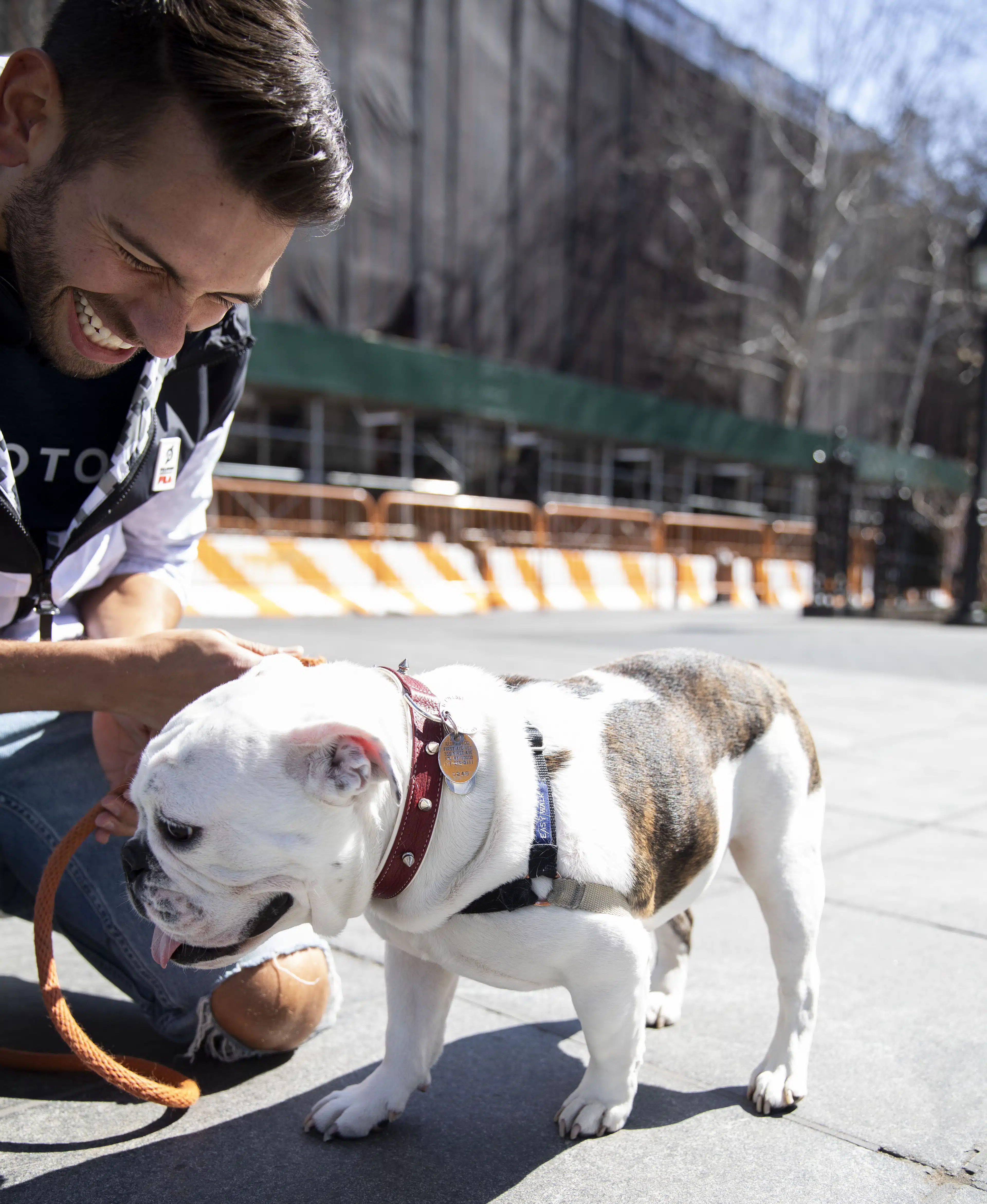 img-6-Active Minutes: Walking With Matty Maggiacomo And Luther
