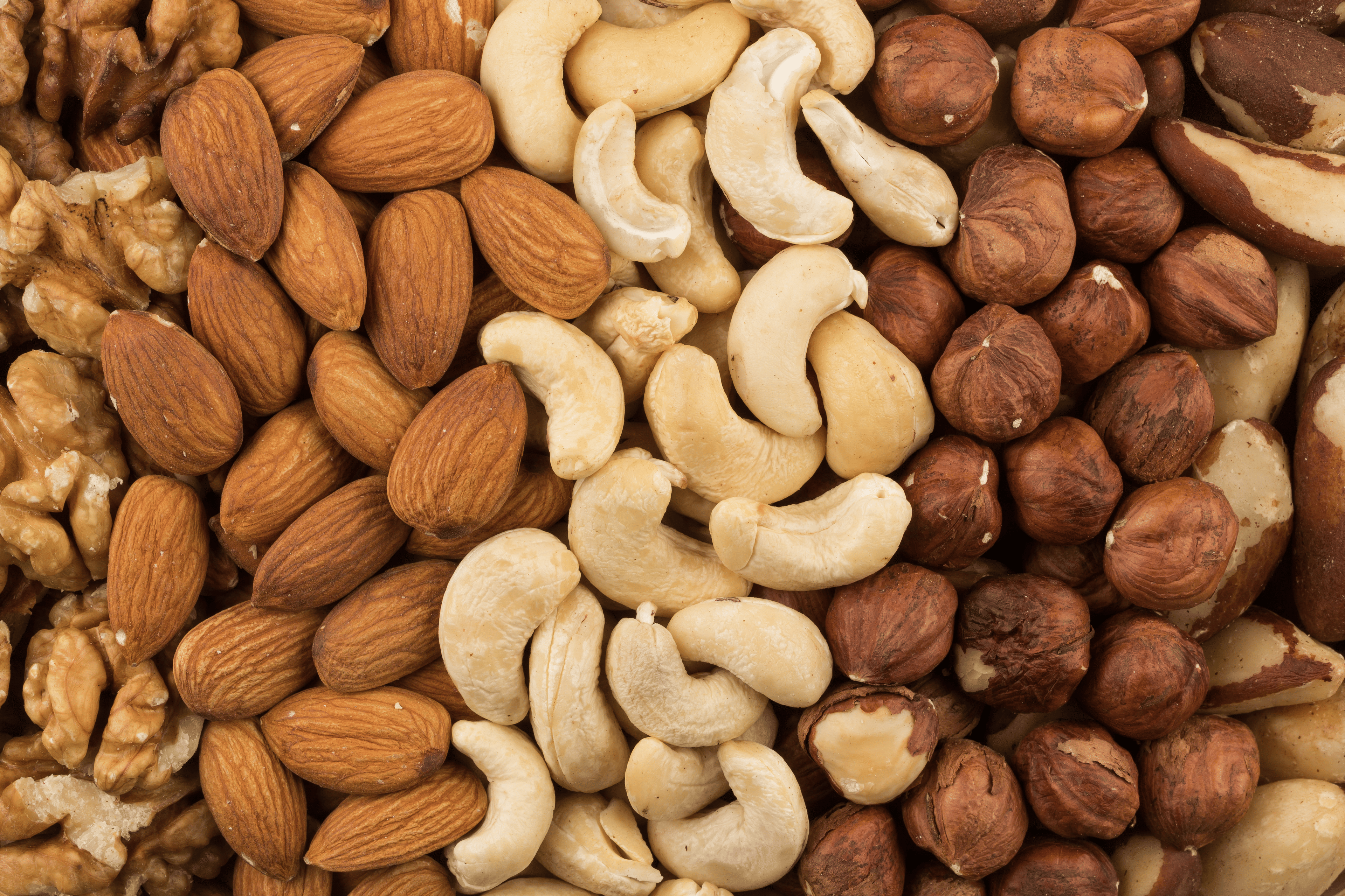 Closeup shot of nuts